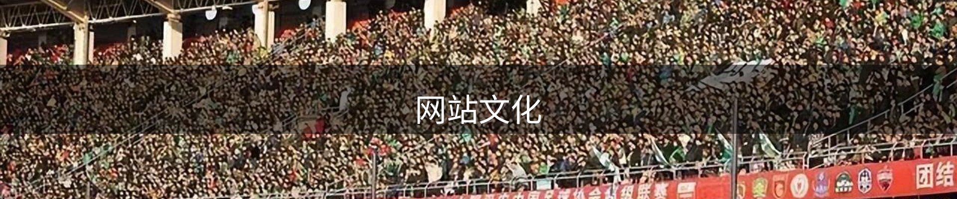 网站文化